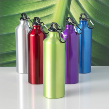 Logotrade promotional product picture of: Oregon 770 ml aluminium water bottle with carabiner