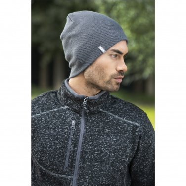 Logotrade promotional gift image of: Level beanie