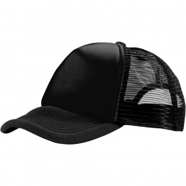 Logo trade promotional giveaway photo of: Trucker 5 panel cap