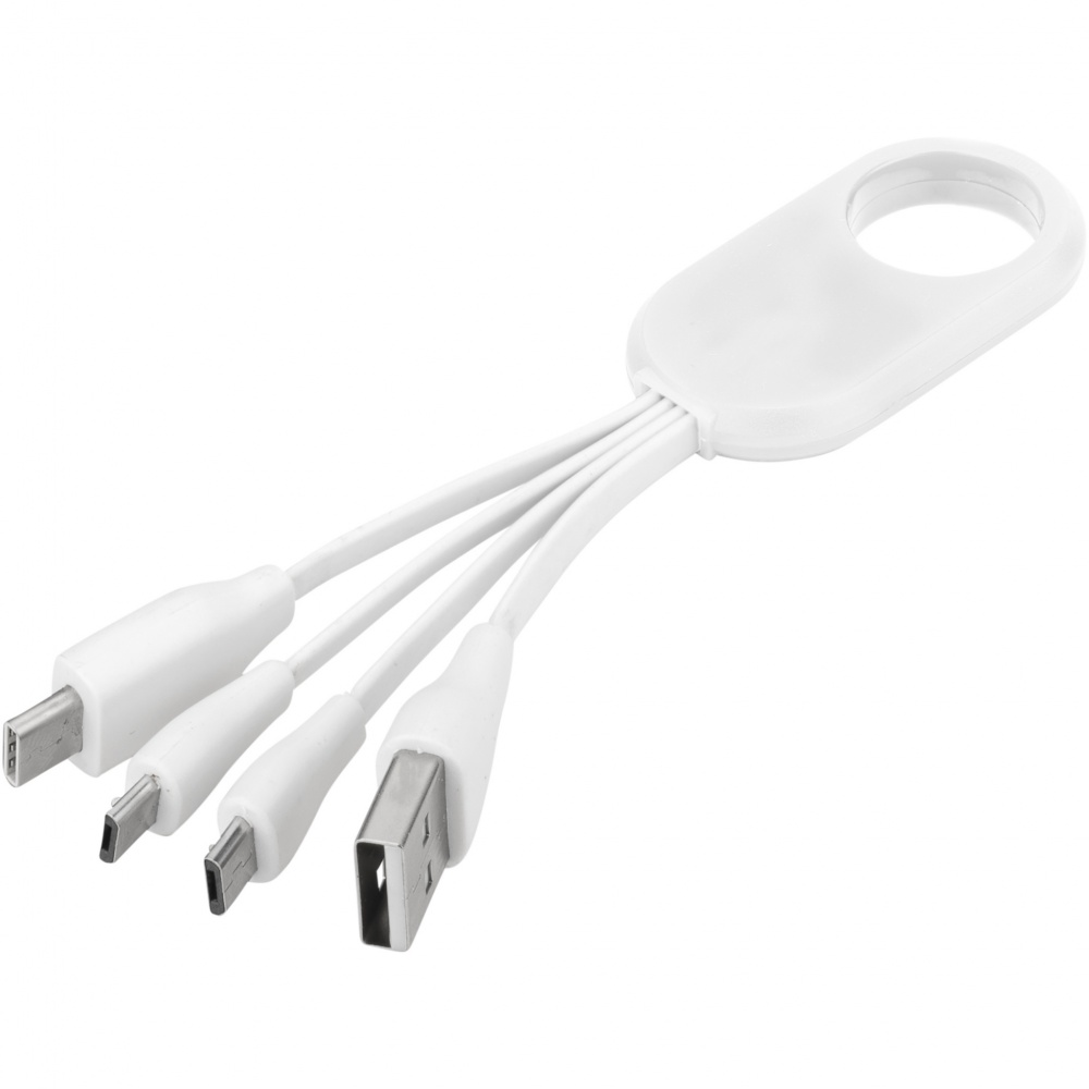 Logotrade promotional merchandise picture of: Troup 4-in-1 charging cable with type-C tip