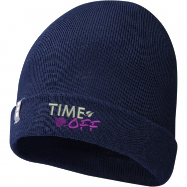 Logotrade promotional giveaways photo of: Hale Polylana® beanie