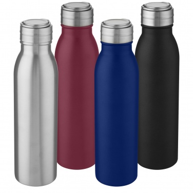 Logotrade promotional gifts photo of: Harper 700 ml stainless steel water bottle with metal loop