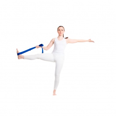 Logo trade promotional merchandise image of: Virabha RPET yoga strap