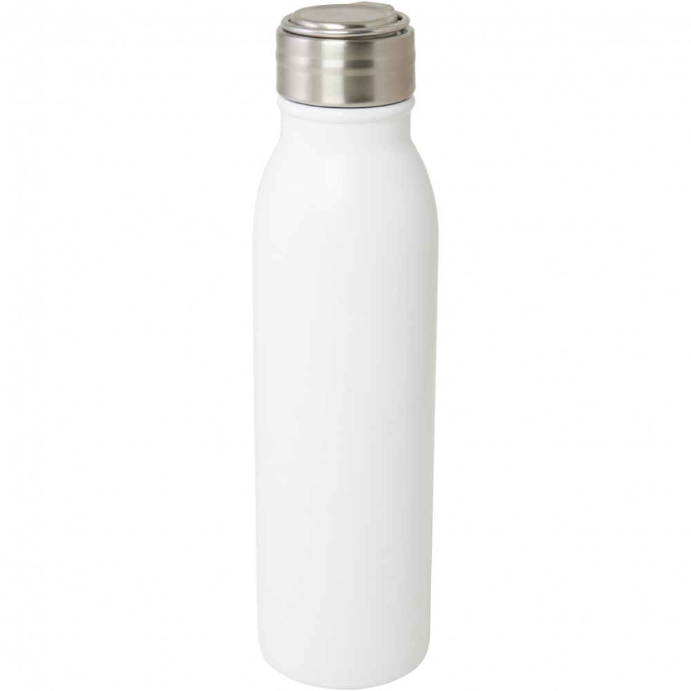 Logotrade promotional merchandise picture of: Harper 700 ml RCS certified stainless steel water bottle with metal loop