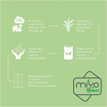Logotrade promotional giveaway picture of: MIYO Renew single layer lunch box