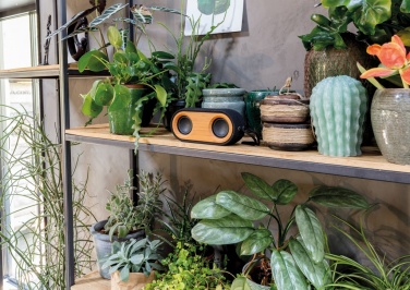 Logotrade promotional products photo of: Bamboo X double speaker