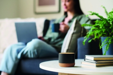 Logo trade promotional giveaway photo of: Cork and aluminium speaker