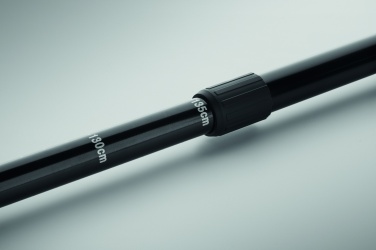 Logotrade corporate gift picture of: Nordic walking poles