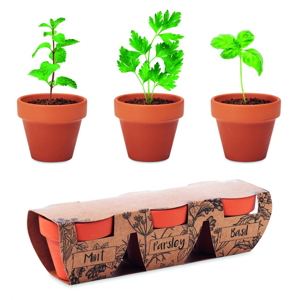 Logo trade advertising products image of: Terracotta 3 herb pot set