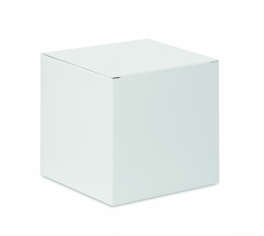 Logo trade corporate gifts image of: Sublimation gift box for mugs