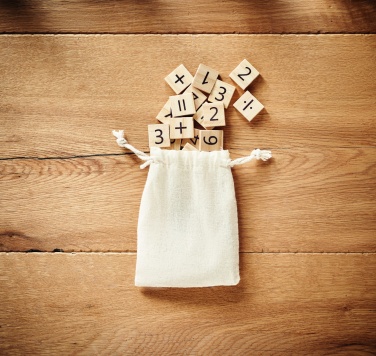 Logotrade promotional merchandise photo of: Wood educational counting game