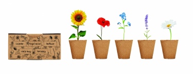 Logotrade promotional merchandise image of: Flowers growing kit