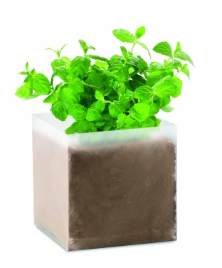 Logotrade promotional giveaways photo of: Compost with seeds "MINT"