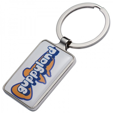Logo trade business gifts image of: Keyring FLINT