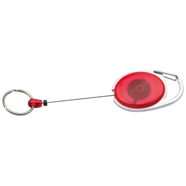 Logotrade business gift image of: Ski-Pass with Carabiner Keyring EMPLOYEE