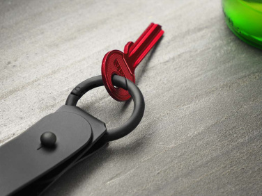 Logotrade promotional gift image of: Keyring 1709094
