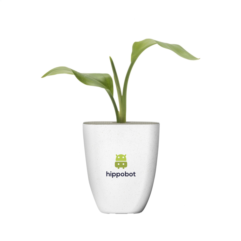 Logo trade promotional gifts image of: Treemore Letterbox Trees Bird of Paradise plant