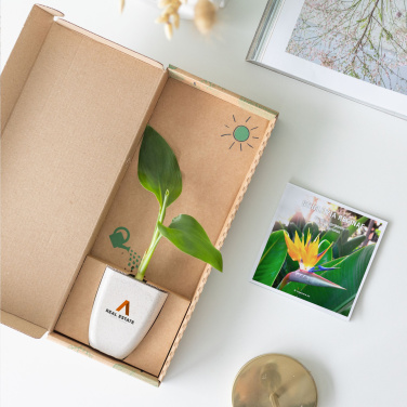 Logotrade promotional giveaways photo of: Treemore Letterbox Trees Bird of Paradise plant