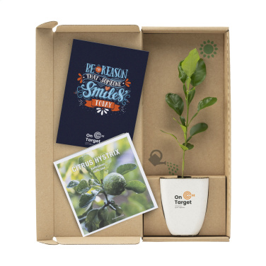 Logotrade promotional product picture of: Treemore Letterbox Trees Kaffir Lemon