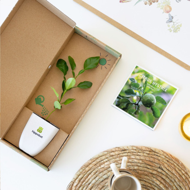 Logo trade promotional products image of: Treemore Letterbox Trees Kaffir Lemon