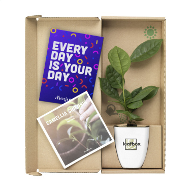 Logotrade promotional merchandise image of: Treemore Letterbox Trees Tea plant