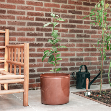 Logotrade advertising product image of: Treemore Letterbox Trees Tea plant
