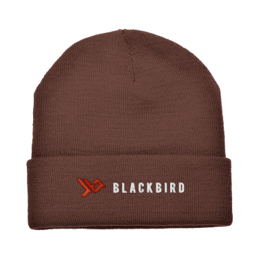 Logotrade promotional giveaway picture of: Antarctica hat