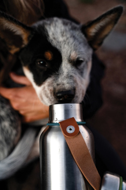Logotrade promotional product image of: Black+Blum Insulated Water Bottle Small 500ml