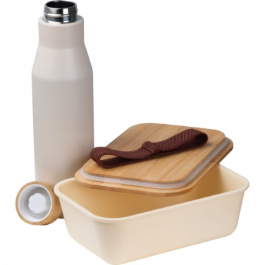 Logo trade corporate gift photo of: Set Lunchbox with stainless steel bottle Toronto