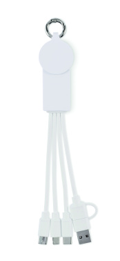 Logotrade promotional merchandise photo of: 2 in 1 charging cable type-C