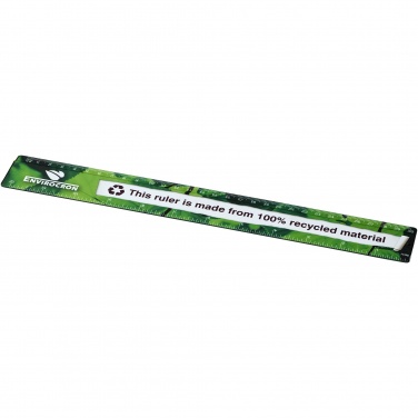 Logo trade firmakingi pilt: Terran 30 cm joonlaud 100% taaskasutatud plastikust