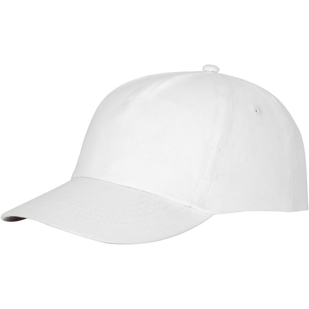 Logotrade ärikingitused pilt: Feniks 5 paneeli kork