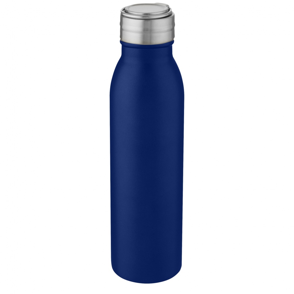 Logotrade reklaamtooted pilt: Harper 700 ml roostevabast terasest veepudel metallist aasaga