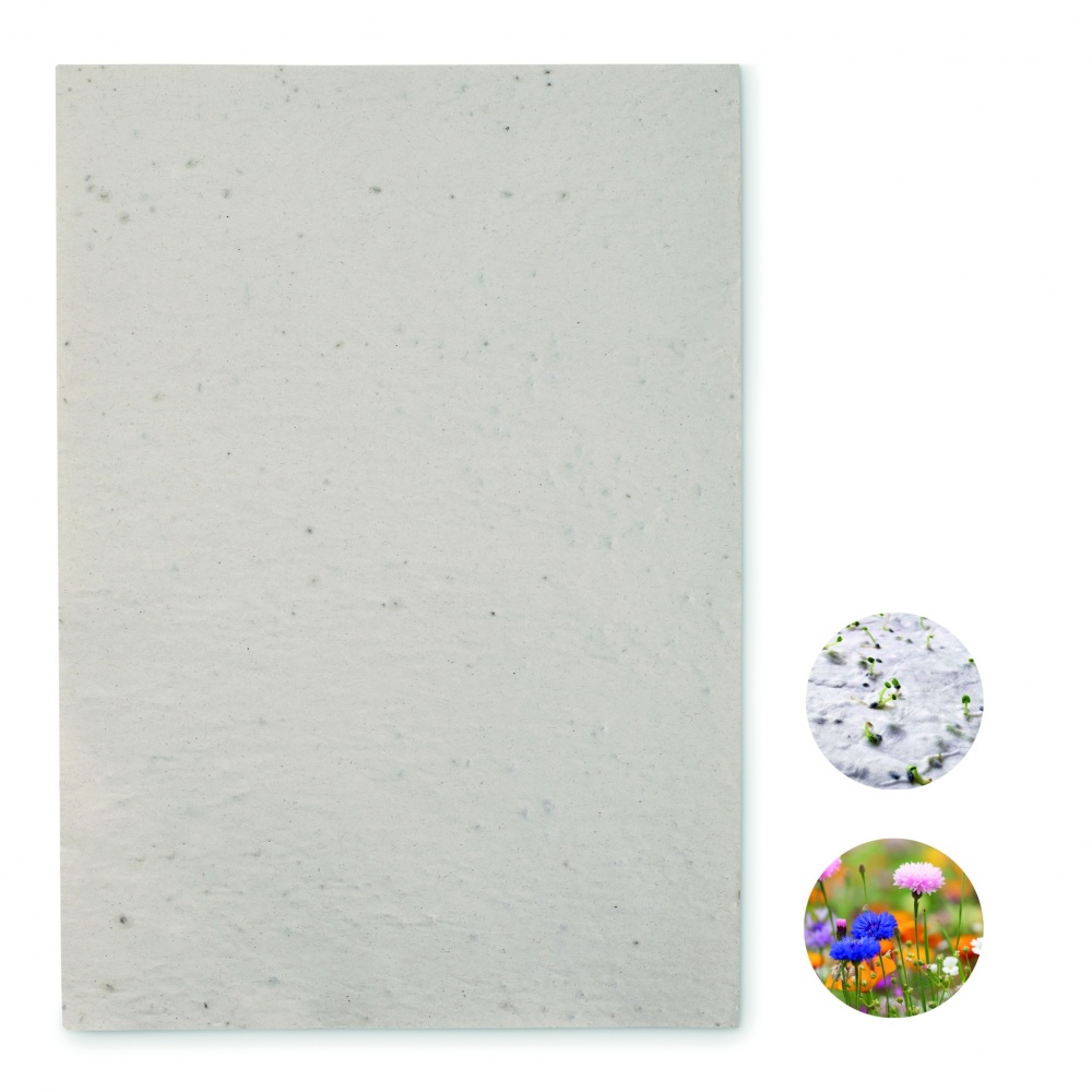 Logotrade firmakingi foto: A4 metsalilleseemne paberileht