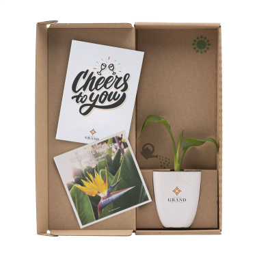 Logotrade meened pilt: Treemore Letterbox Trees Paradiisilinnu taim