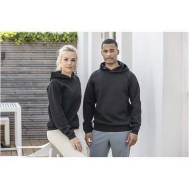Logotrade ärikingi foto: Danali unisex dressipluus kapuutsiga