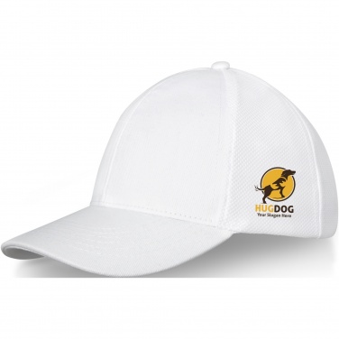 Logo trade mainoslahja kuva: Drake-puuvillalippalakki, 6-paneelinen