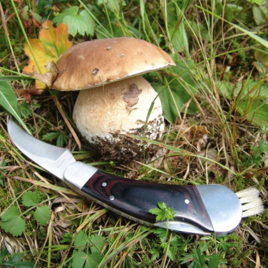 Logo trade mainoslahjat ja liikelahjat kuva: Sieniveitsi PILZ Schwarzwolf