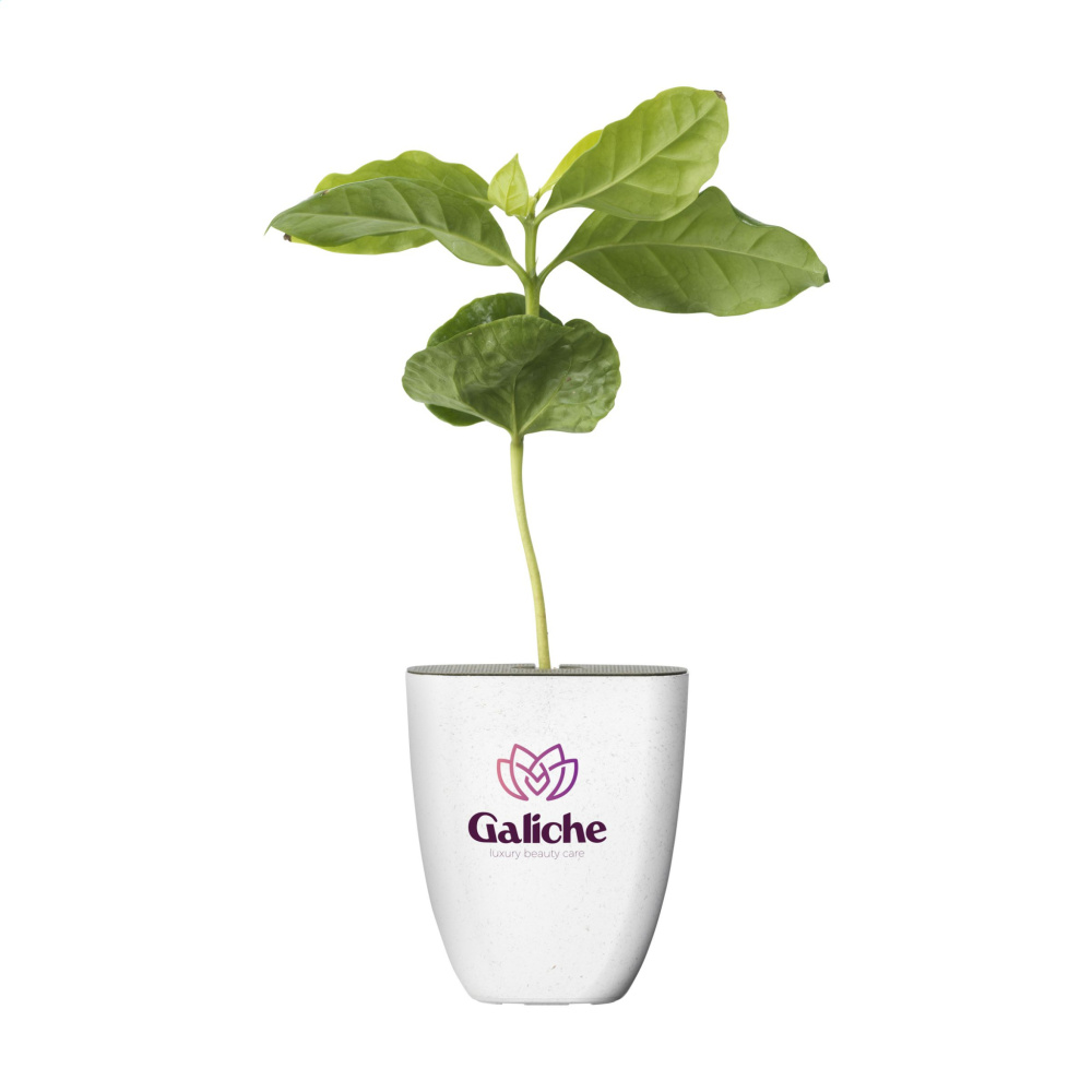 Logo trade mainostuote kuva: Treemore Letterbox Trees Kahvi
