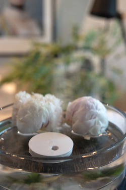 Логотрейд pекламные подарки картинка: Breevia RCS rplasic перезаряжаемый плавающий увлажнитель воздуха